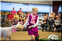 LCFAIR-081718-7265.jpg