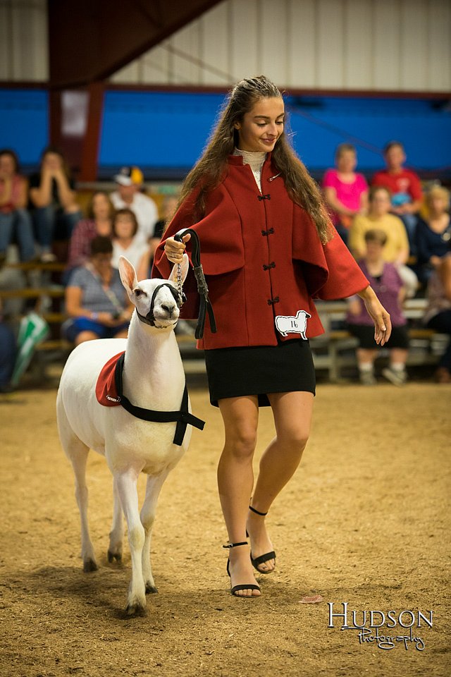 LCFAIR-081718-7422.jpg