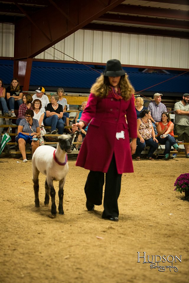 LCFAIR-081718-7473.jpg