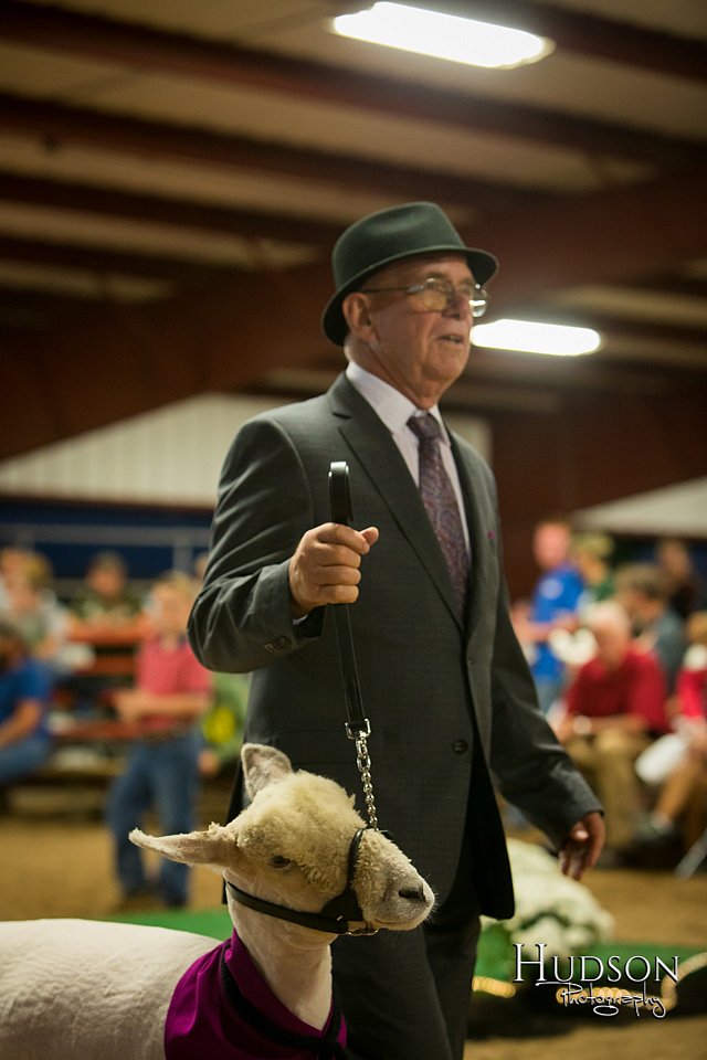 LCFAIR-081718-7492.jpg