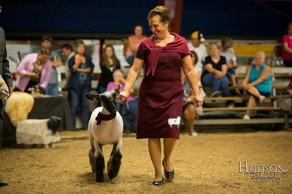 LCFAIR-081718-7506.jpg