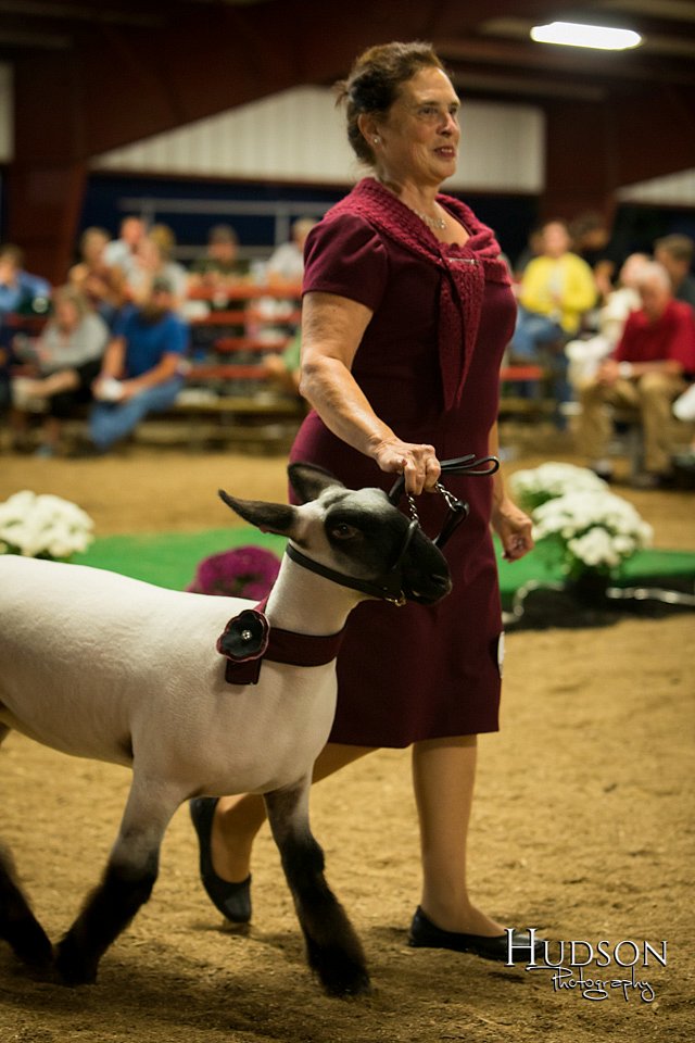 LCFAIR-081718-7527.jpg