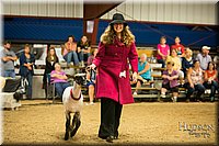 LCFAIR-081718-7465.jpg