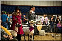 LCFAIR-081718-7514.jpg