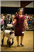 LCFAIR-081718-7574.jpg