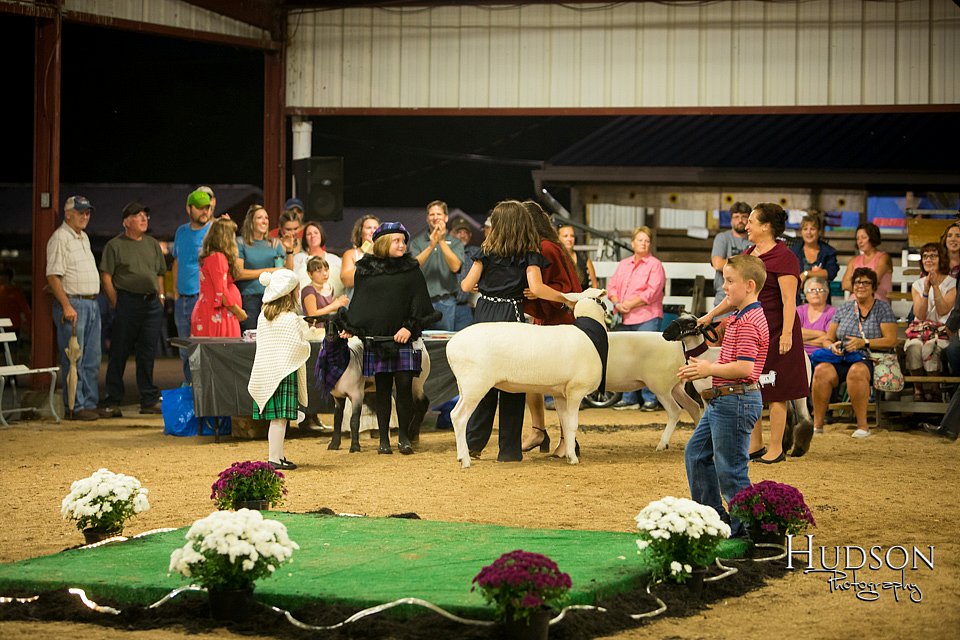 LCFAIR-081718-7619.jpg