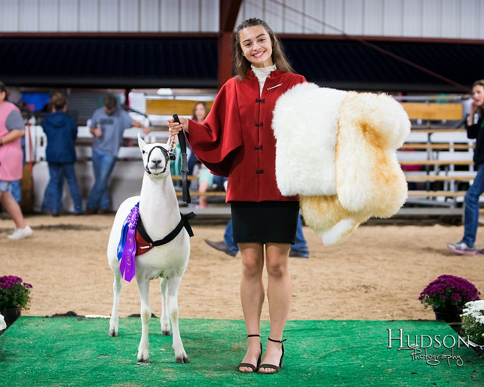LCFAIR-081718-7637.jpg