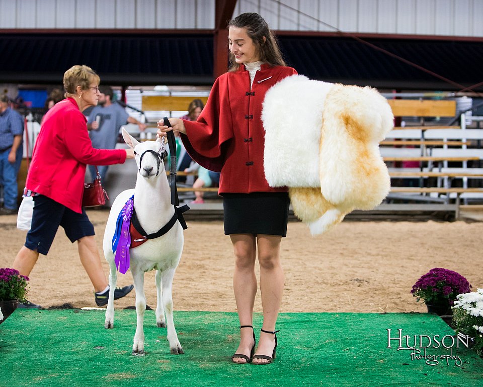 LCFAIR-081718-7654.jpg