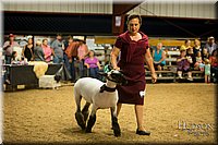 LCFAIR-081718-7587.jpg