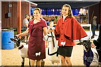 LCFAIR-081718-7605.jpg