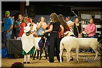 LCFAIR-081718-7623.jpg