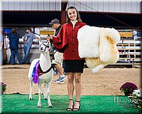 LCFAIR-081718-7647.jpg