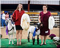 LCFAIR-081718-7681.jpg