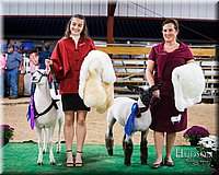 LCFAIR-081718-7688.jpg