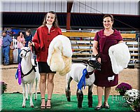 LCFAIR-081718-7690.jpg