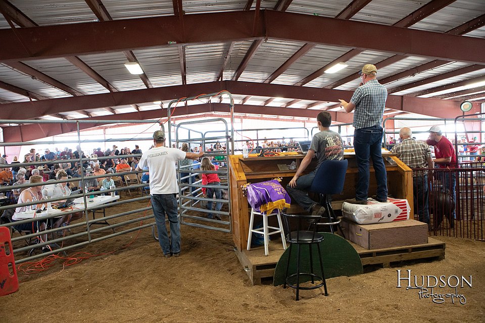 LCFAIR-081818-7722.jpg
